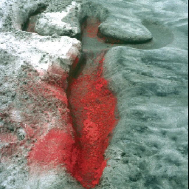 imagem Ateliê de Psicanálise Artes e Corpo O quadro e o objeto